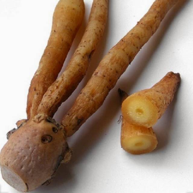 

Temu Kunci-Temu Lawak-Temu Kunci Herbal Alami/1 Kg