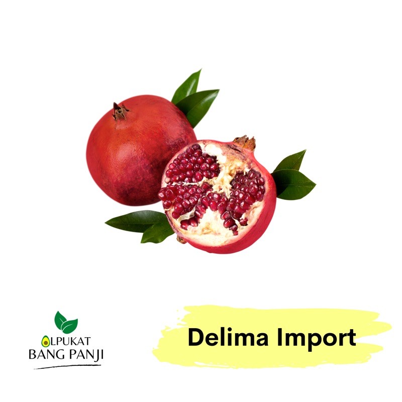 

ALPUKAT BANG PANJI - Delima Merah India