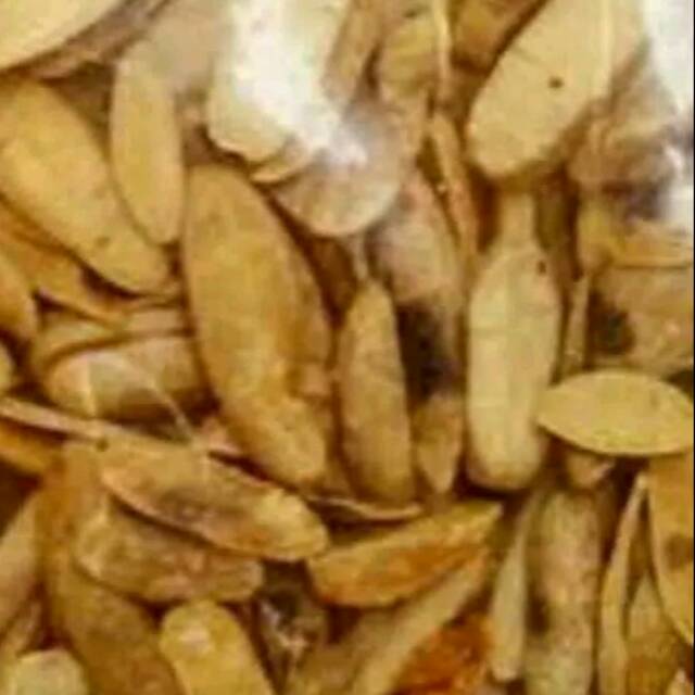 

Canguk makanan ringan cocok untuk ngemil gurih renyah 250 gram