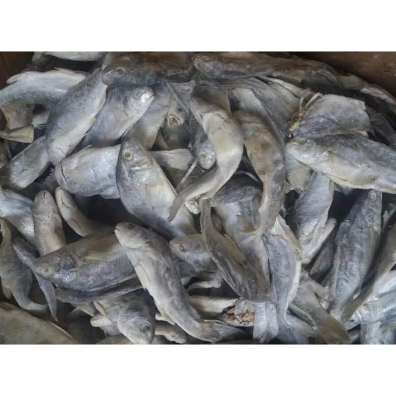 

kepalabatu