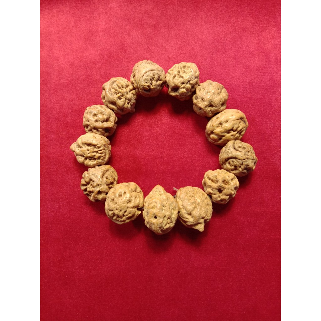 Gelang Biji Jenitri 3 Mukhi 17 mm