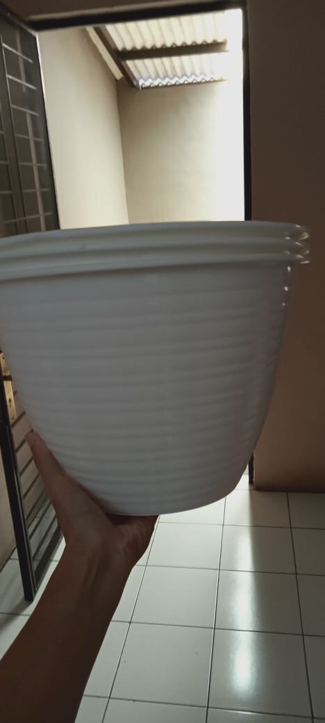  Pot  bunga tawon  plastik 30  cm putih  Shopee Indonesia