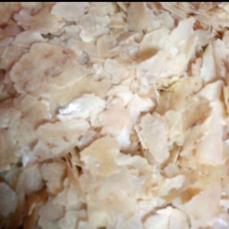 EMPING MELINJO MENTAH 500 GRAM REMUKAN BS SORTIRAN MANCAK CILEGON BANTEN