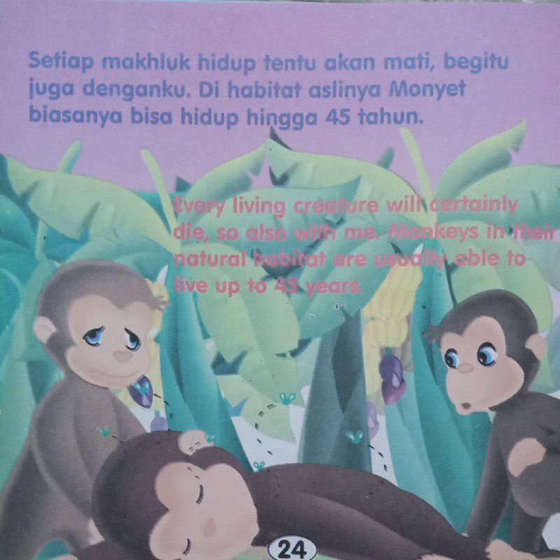 Buku Cerita Anak Monyet/seri mengenal hewan