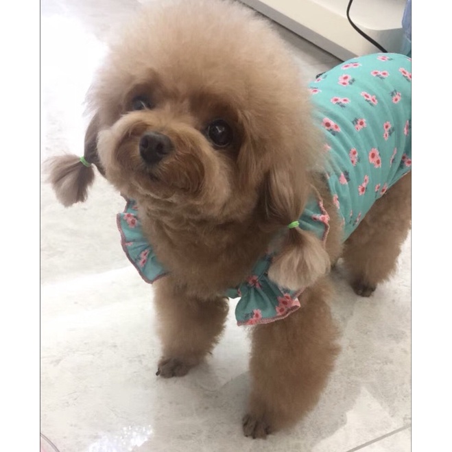 Ruffle Floral Top for Dog Cat Pet Baju Anjing Kucing Lucu