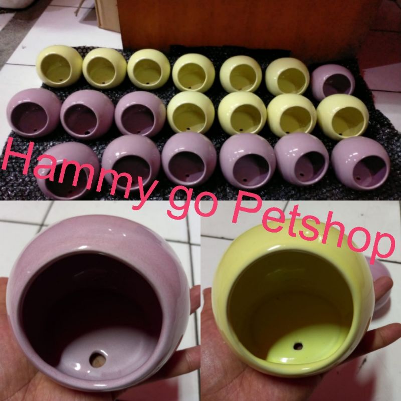 rumah keramik hamster