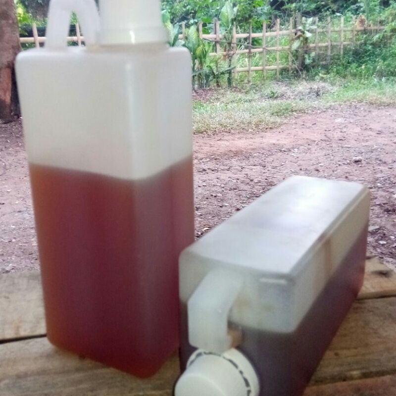 

MADU HUTAN MERAH ASLI NETTO 1KG