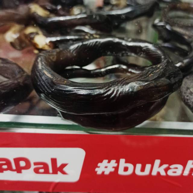Akar Bahar hitam serat