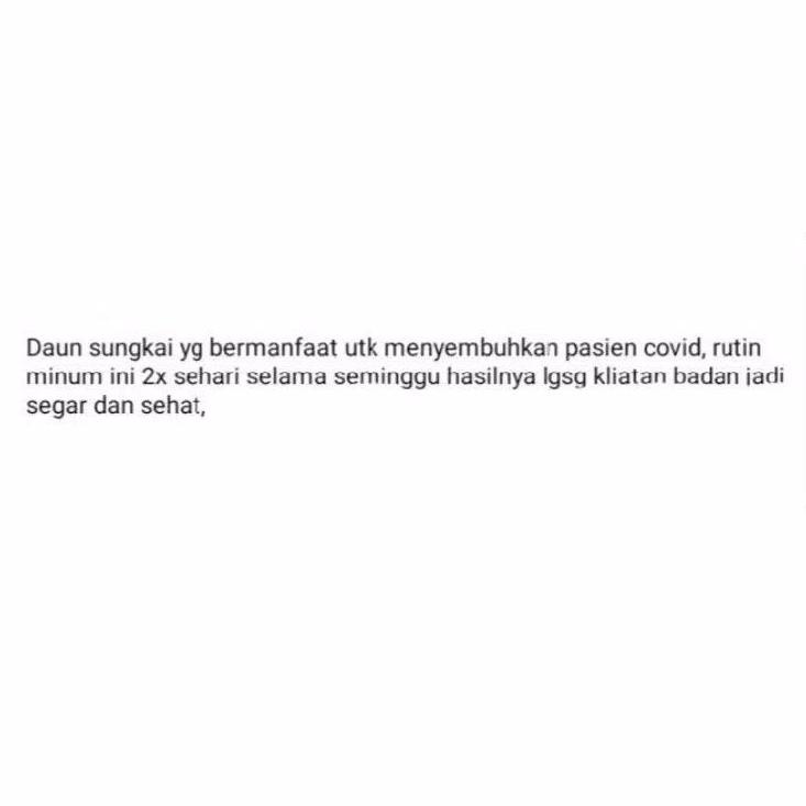 

[KODE PRODUK AQTLA4486] DAUN SUNGKAI 500 gram herbal covid 19 harga pendemi