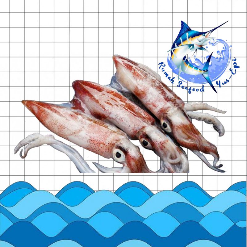 

Cumi Hitam -rumahseafoodyusepi