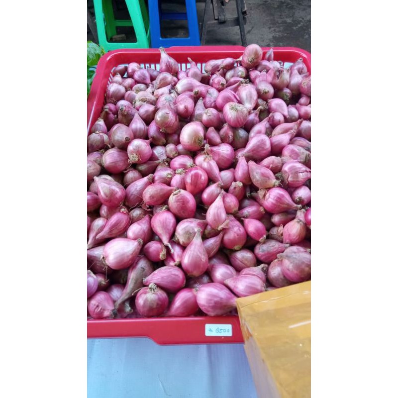 

bawang merah brebes