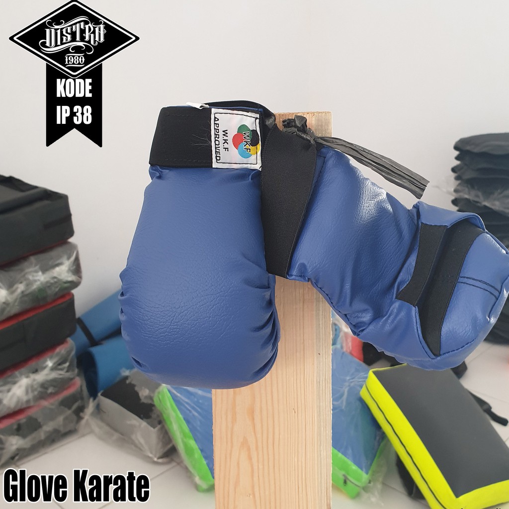 Handprotector Karate Taekwondo / Hand protector Karate / Hand Gloves Taekwondo