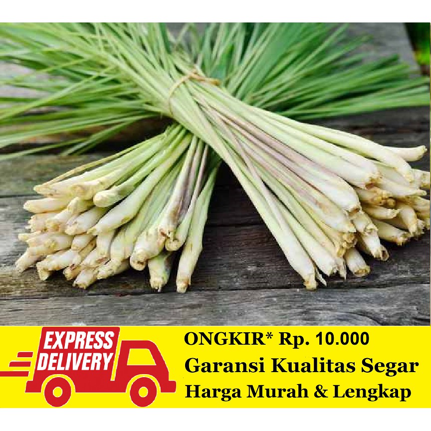 

Daun Sereh / Daun Serai Segar 100 gram