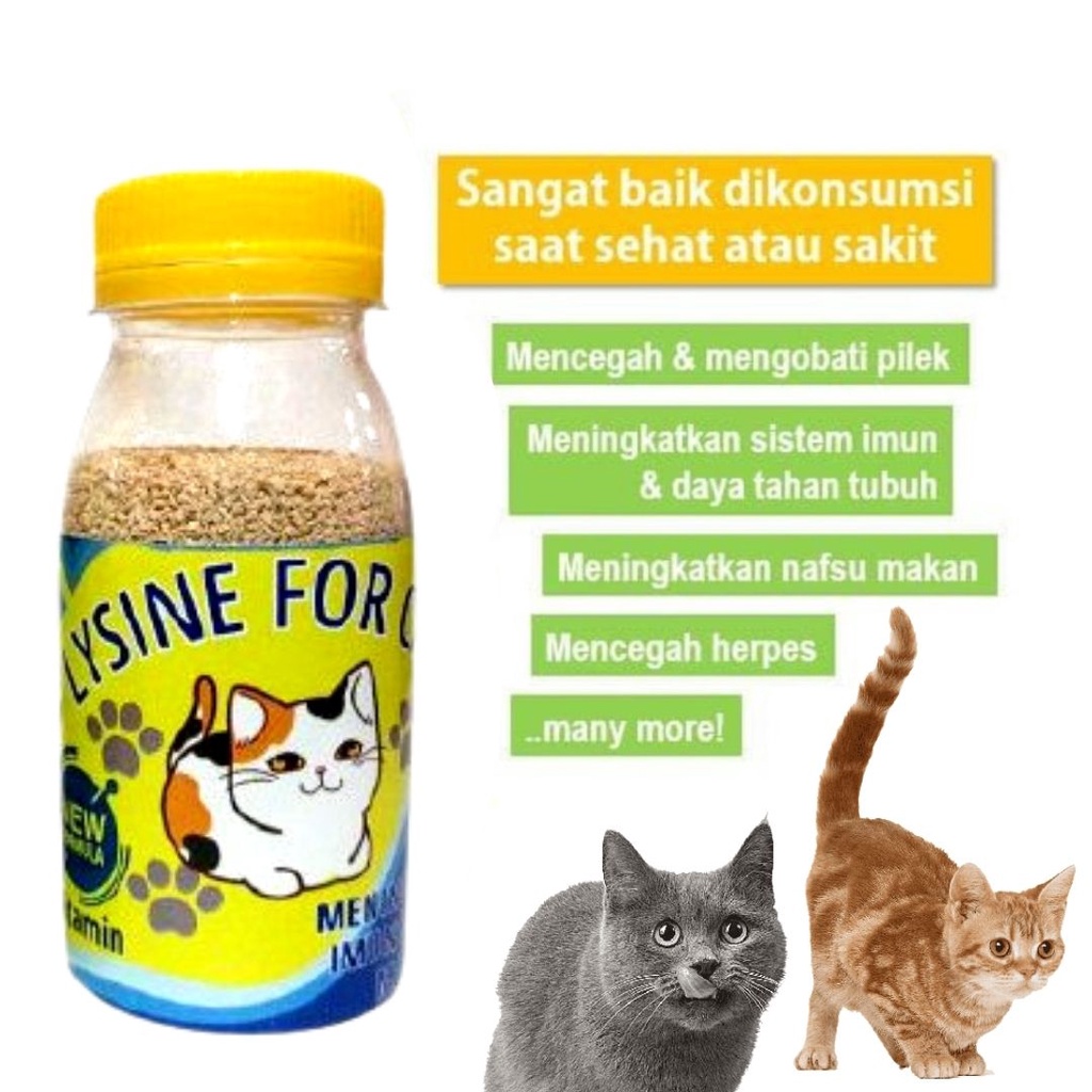 Lysine Penggemuk Kucing Meningkatkan Immune dan Nafsu Makan Kucing Cat Kitten Original Garansi Termurah BEST SELLER  FEZONE