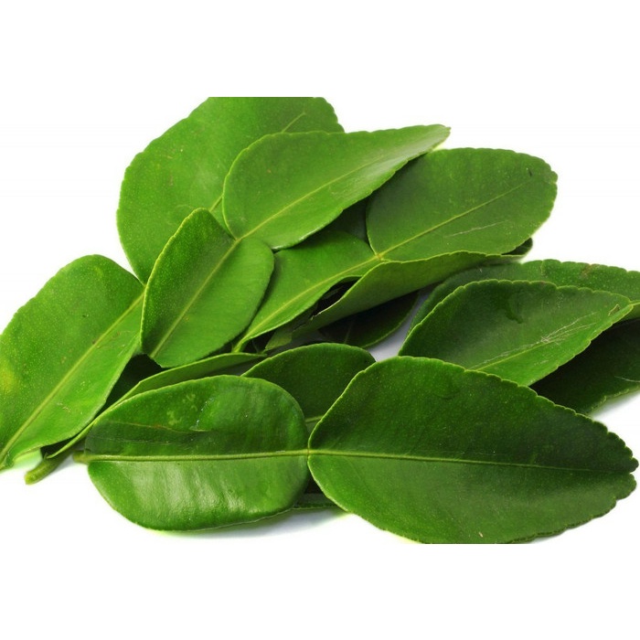 

01F1S Daun Jeruk Purut Fsfs201