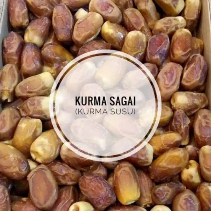 Kurma Sagai 500gr (repack)