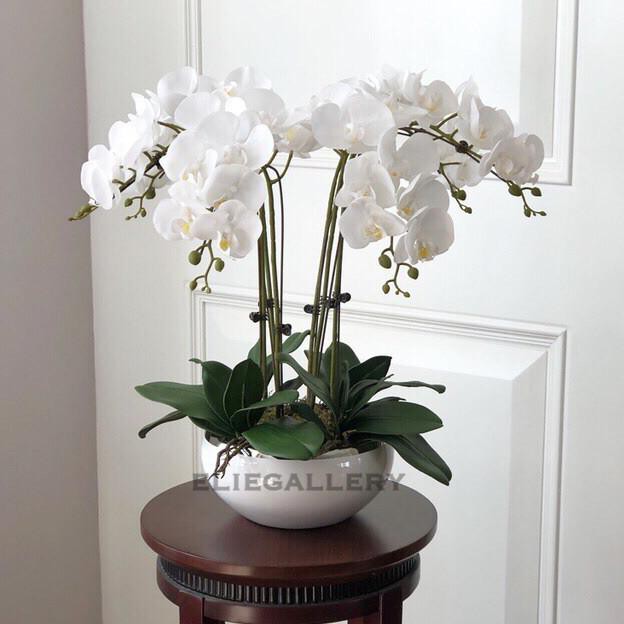 Bunga ANGGREK LATEX ARTIFICIAL Orchid Import - PUTIH Anggrek Bulan Dek