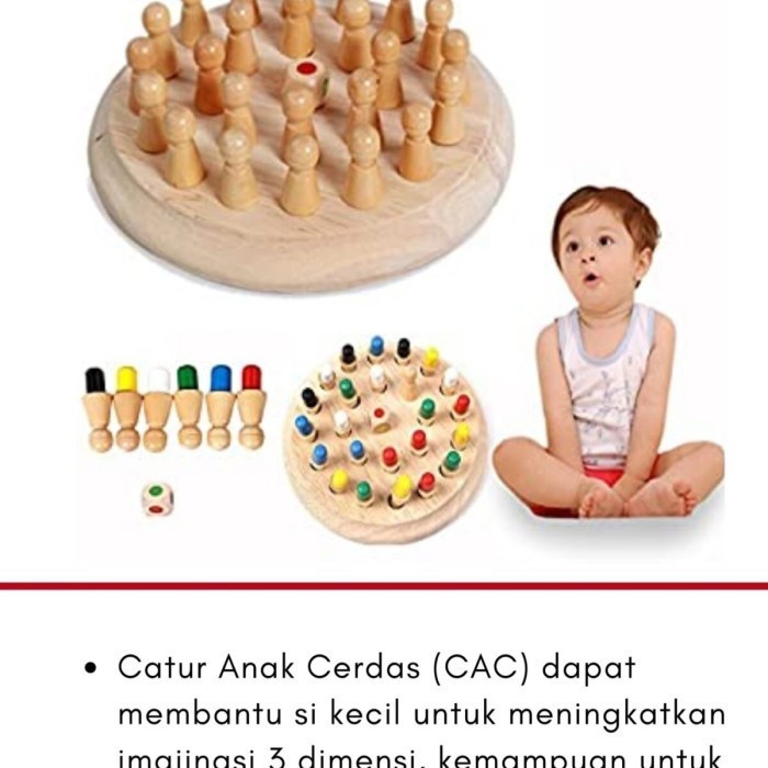 Catur anak memory chess DISKON 2021