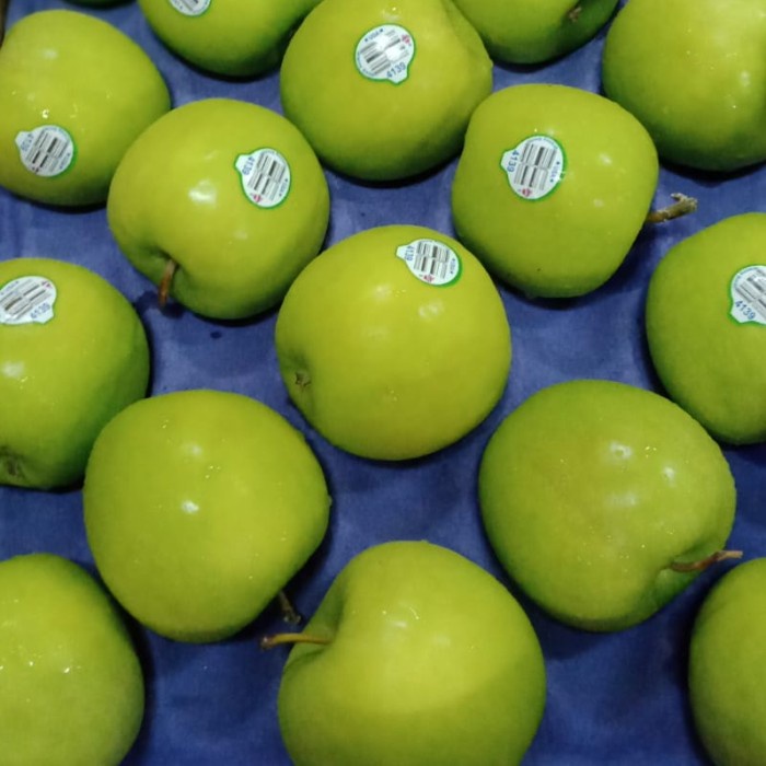 

APEL HIJAU GRANNY SMITH