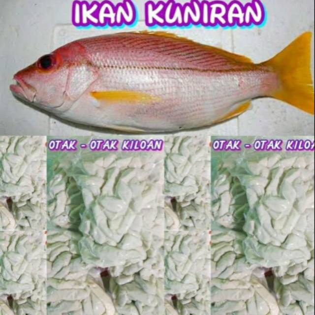 

Otak otak kiloan