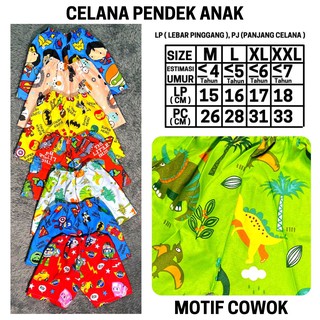  Celana  Anak  Laki Laki Clana Pendek Anak  Perempuan  Cowok 