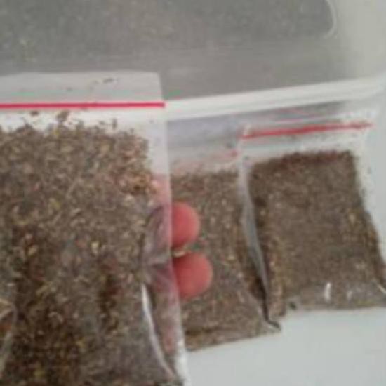 

66R☆ Daun Oregano Dan Basil kering/Rempah topping pizza Barang Bagus