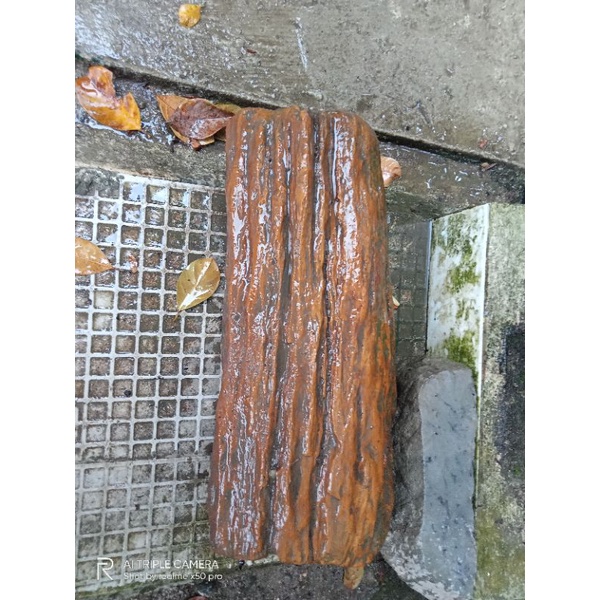 batu fosil alam/fosil kayu