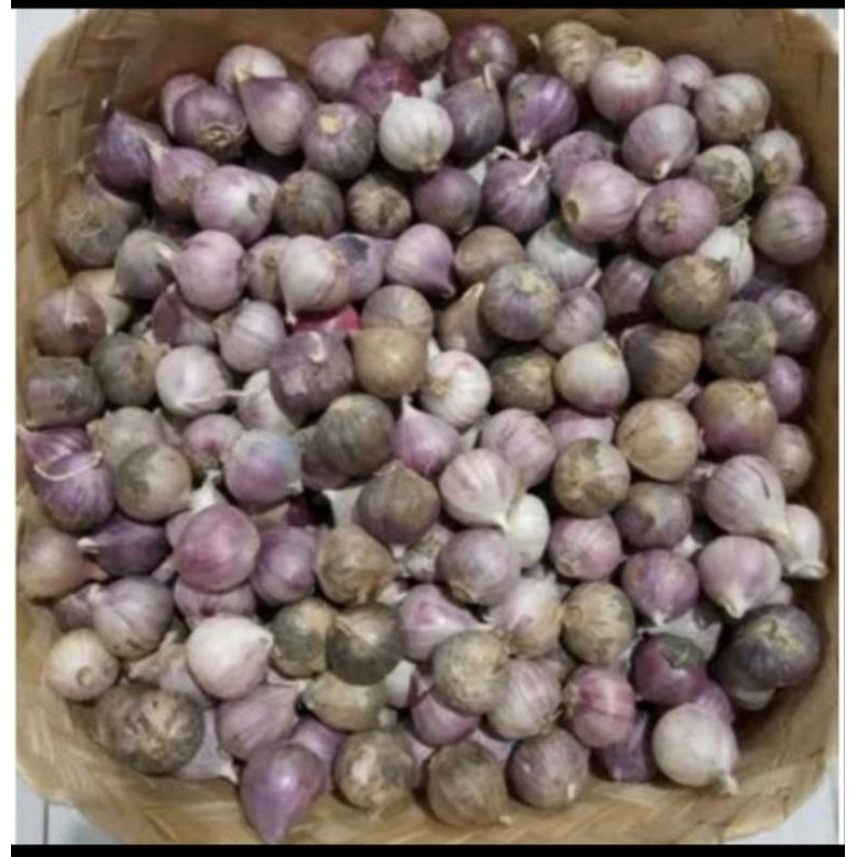 

Bawang/Putih/Laki/Lanang/250gram-500gram-1000gram
