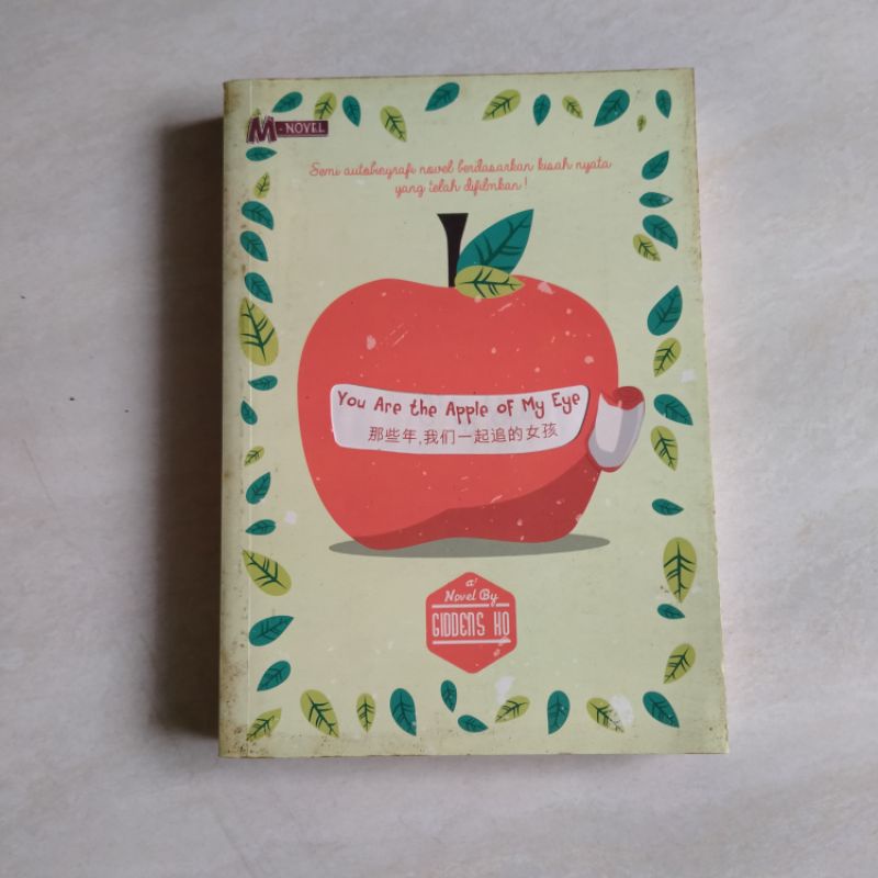 Novel Remaja You are The Apple of My Eye Obral