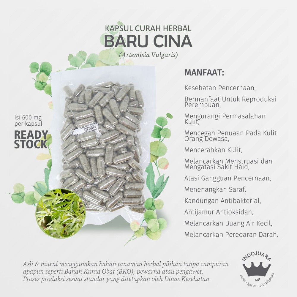 

BARU CINA Mugwort 100 Kapsul Curah Herbal Keguguran Diuretik Pencernaa