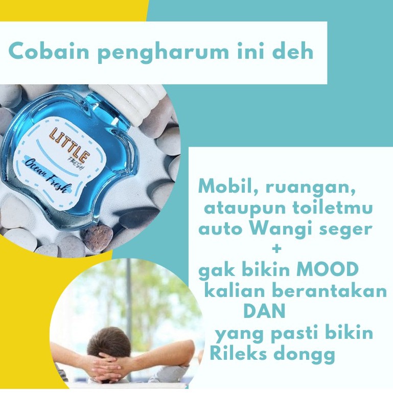 Grosir Murah Paket Reseller Parfum Pengharum Mobil Ruangan Aromatherapy Little Fresh