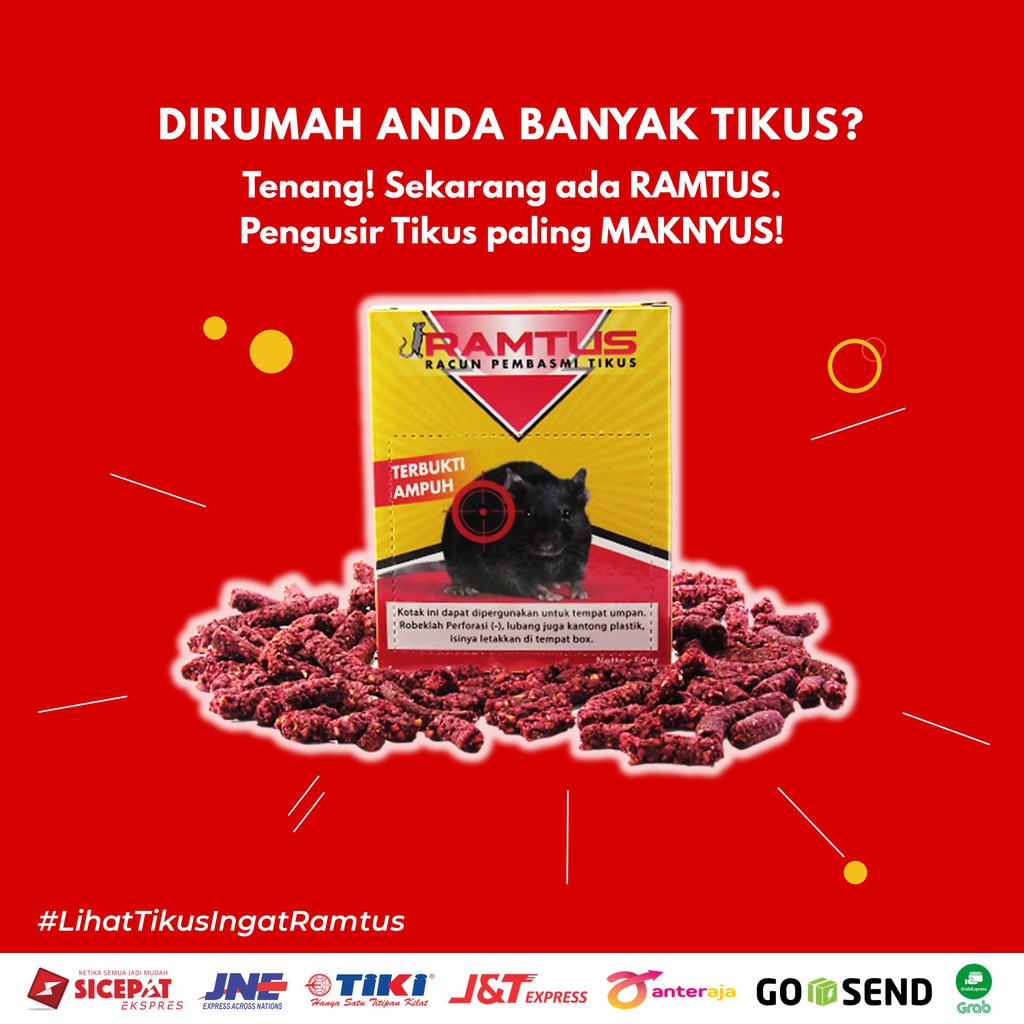 Ramtus Jebakan Tikus Ampuh
