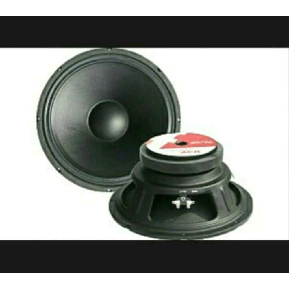 speaker 10 inch array