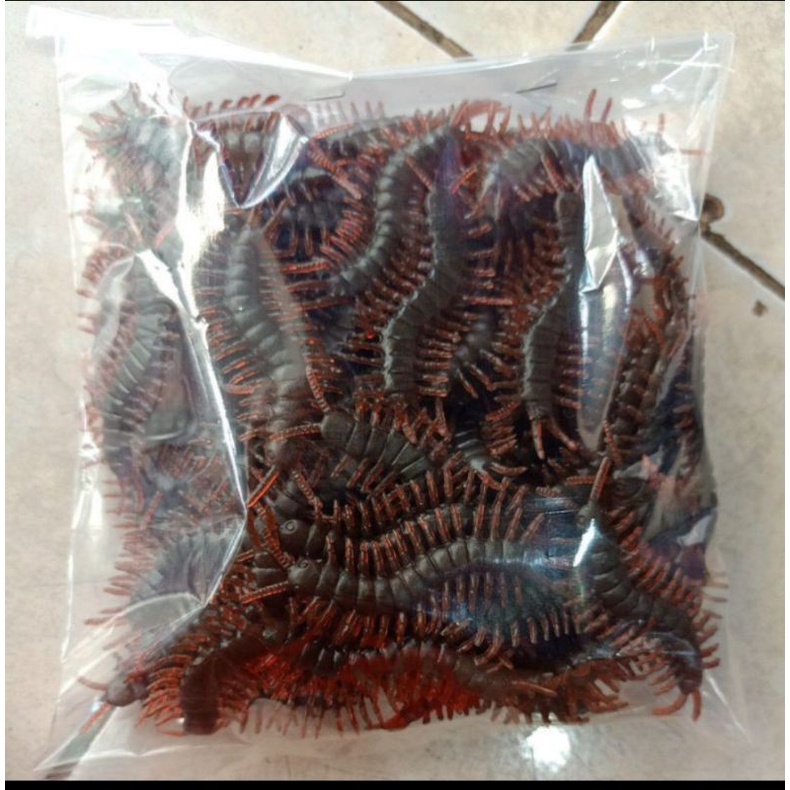 mainan anak kelabang karet harga untuk satu biji