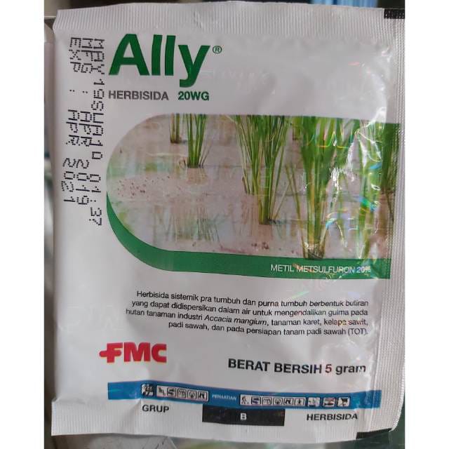 Dupont ALLY 20 WG/ herbisida pra dan purna tumbuh