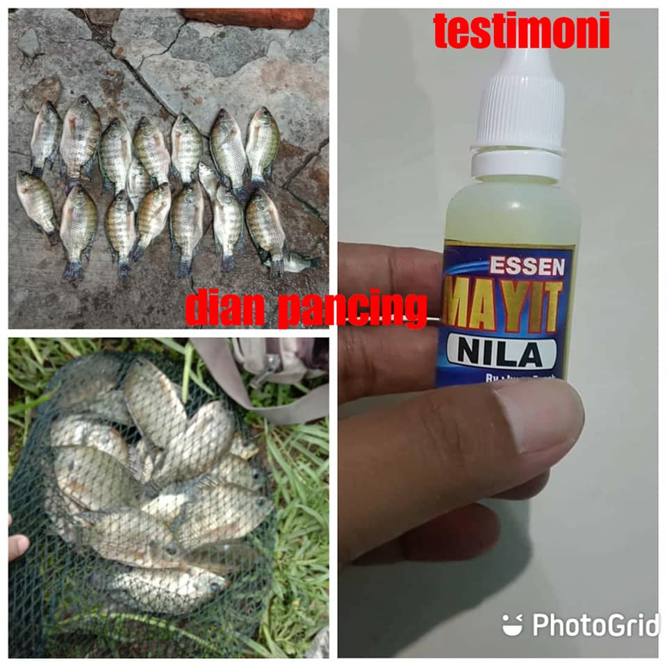 Essen Mayit Nila Isi 30 ml / Essen Mayit / Essen Nila