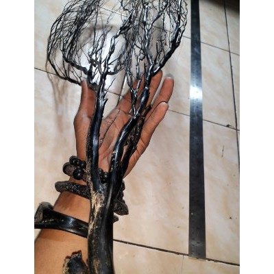 POHON BAHAR AKAR LAUT BAHAN GELANG BAHAR A49 Berkualitas