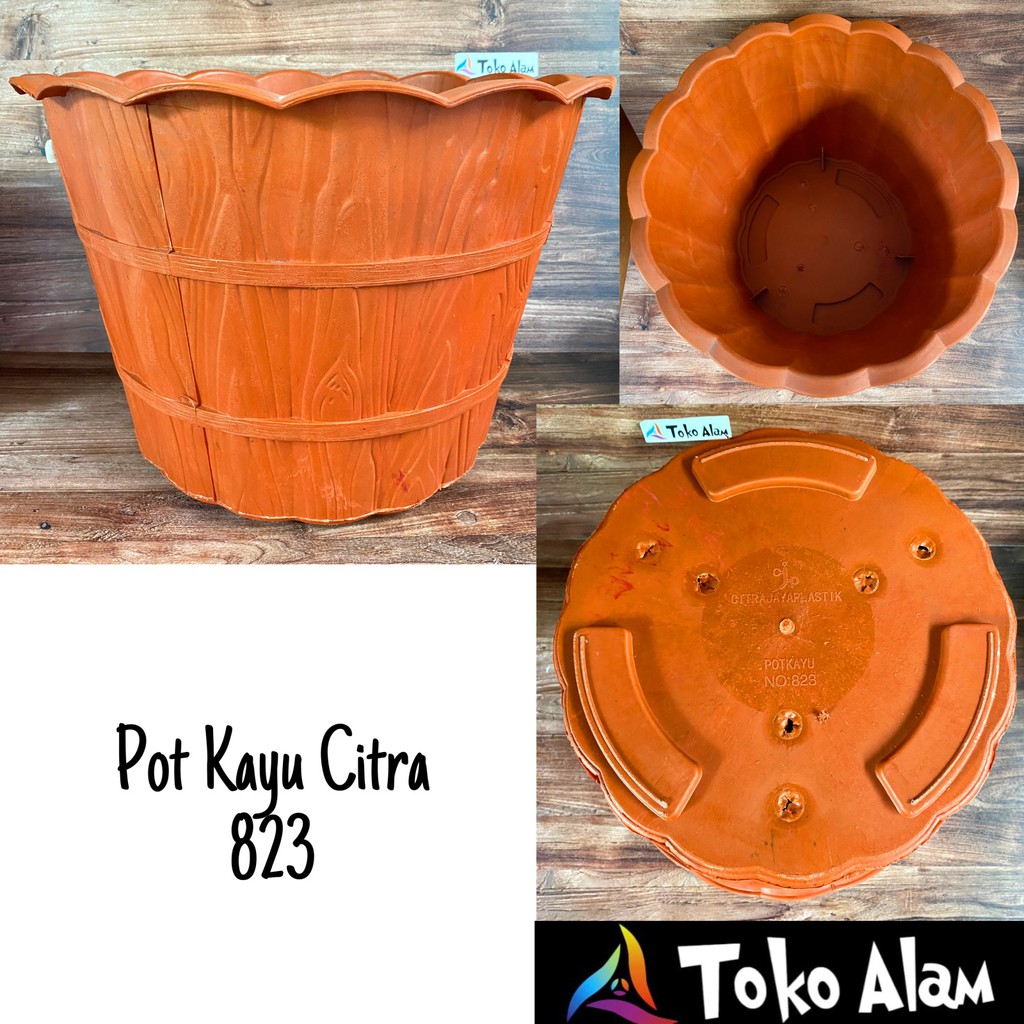 POT KAYU CITRA 823 POT COKLAT POT MOTIF KAYU POT BUNGA POT TANAMAN POT CORAK KAYU POT KAYU POT MOTIF