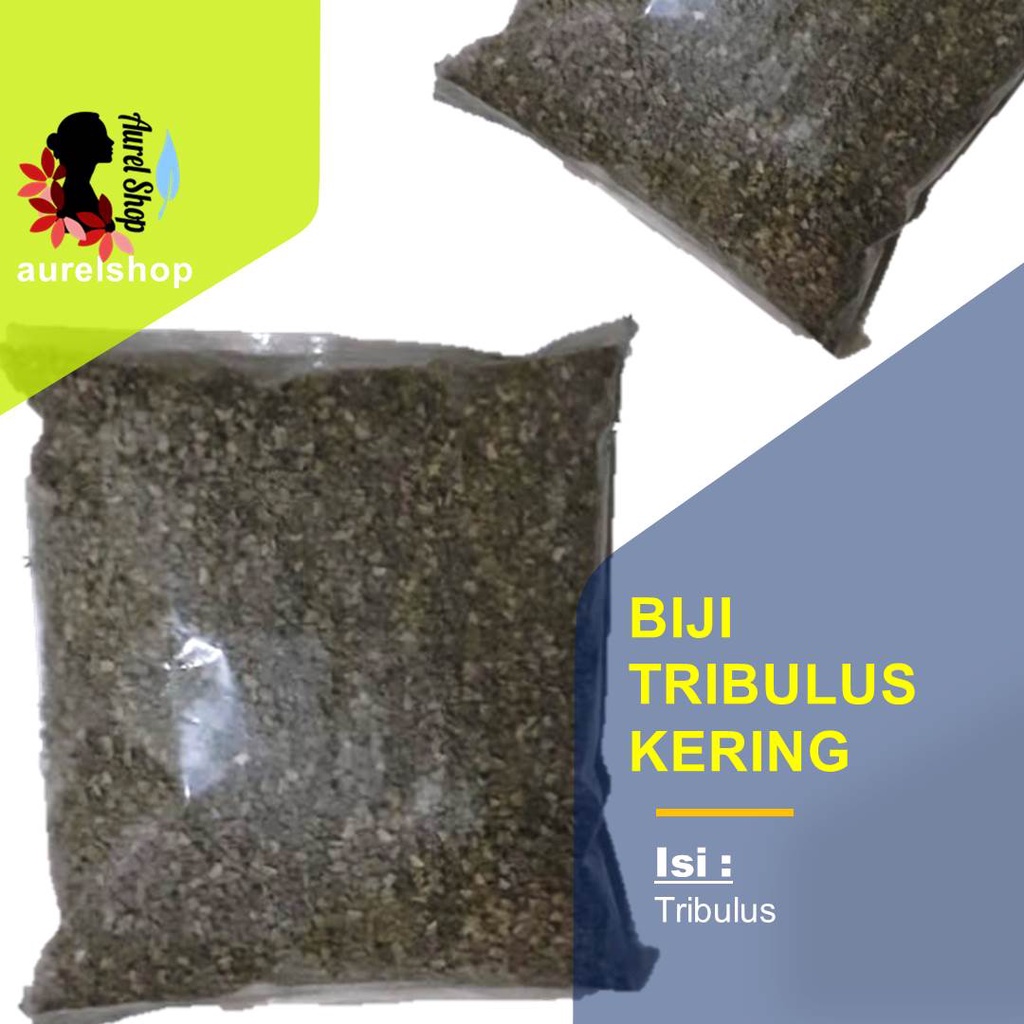 

Tribulus Kering/ Rujak Polo/ Suku/ Abrojo/ Al Gutub/ Pohon Tusuk/ Tribulus terrestris