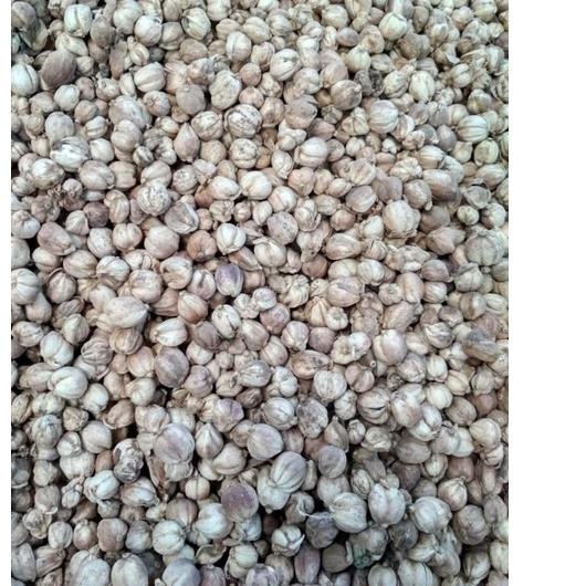 

ㅽ kapulaga kapolaga kapol kering Grosir original bersih blower 1kg ↿