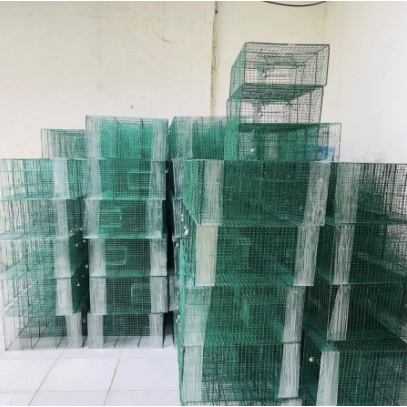 Jebakan Tikus Masal - Perangkap Tikus Masal - Kawat Besi Kuat - 1 PCS