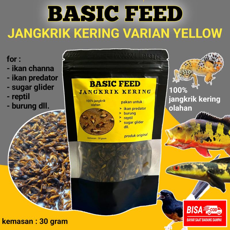 jangkrik kering yellow BASIC FEED 30gr | makanan ikan predator | pakan ikan channa maru ys pulchra a