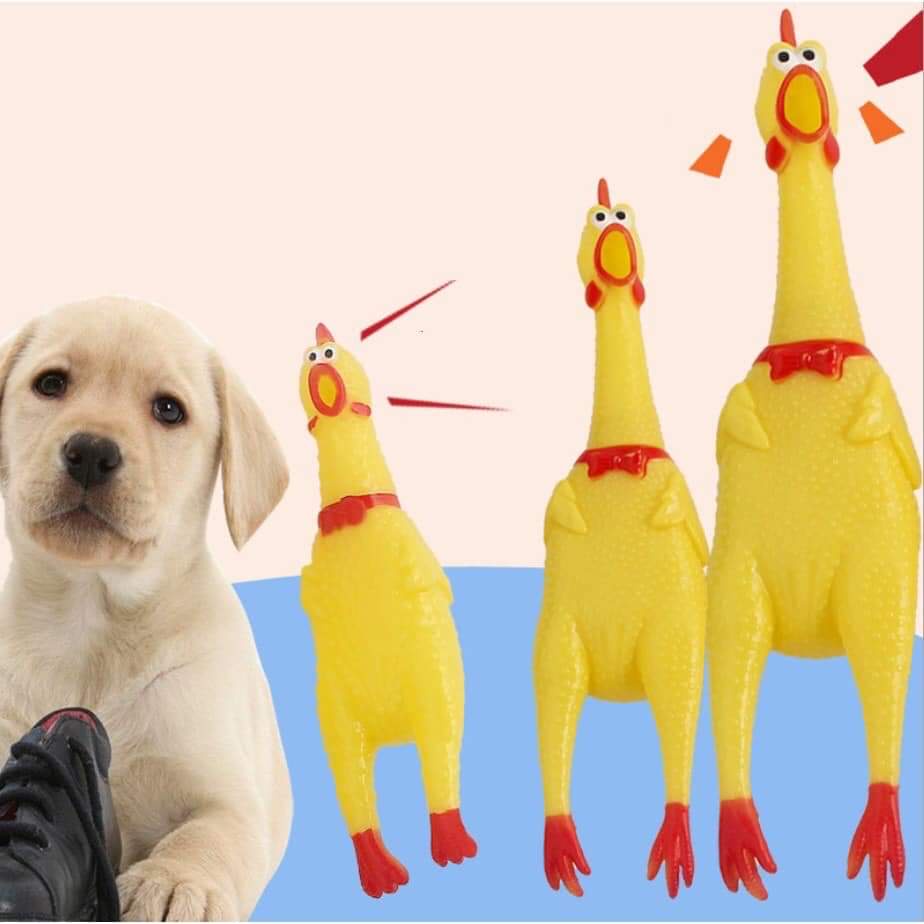 HOKKITERUS21 Mainan AYAM TERIAK pencet bersuara bunyi karet shrilling screaming chicken toys kucing