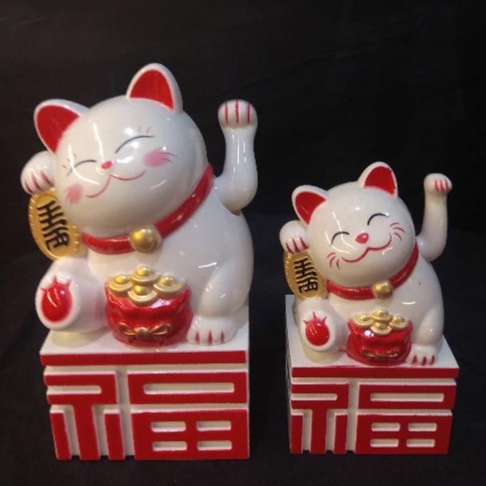 Buruan beli] Kucing Hoki Naik Fu