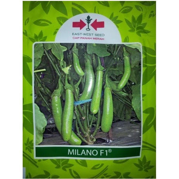 COD Cap Panah Merah / Benih Terong Hijau Milano F1 isi 1.100 butir
