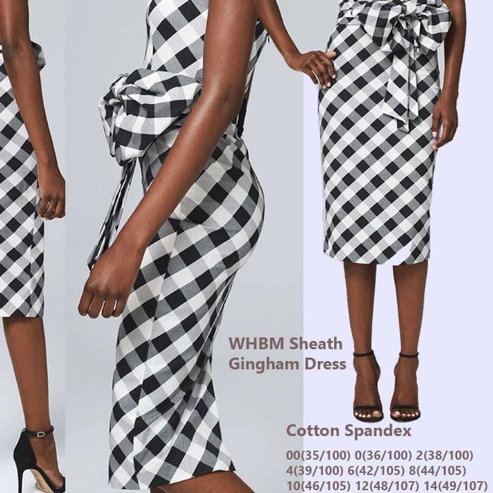 ⅎ WHBM Silk Shirt dress & Gingham ❇