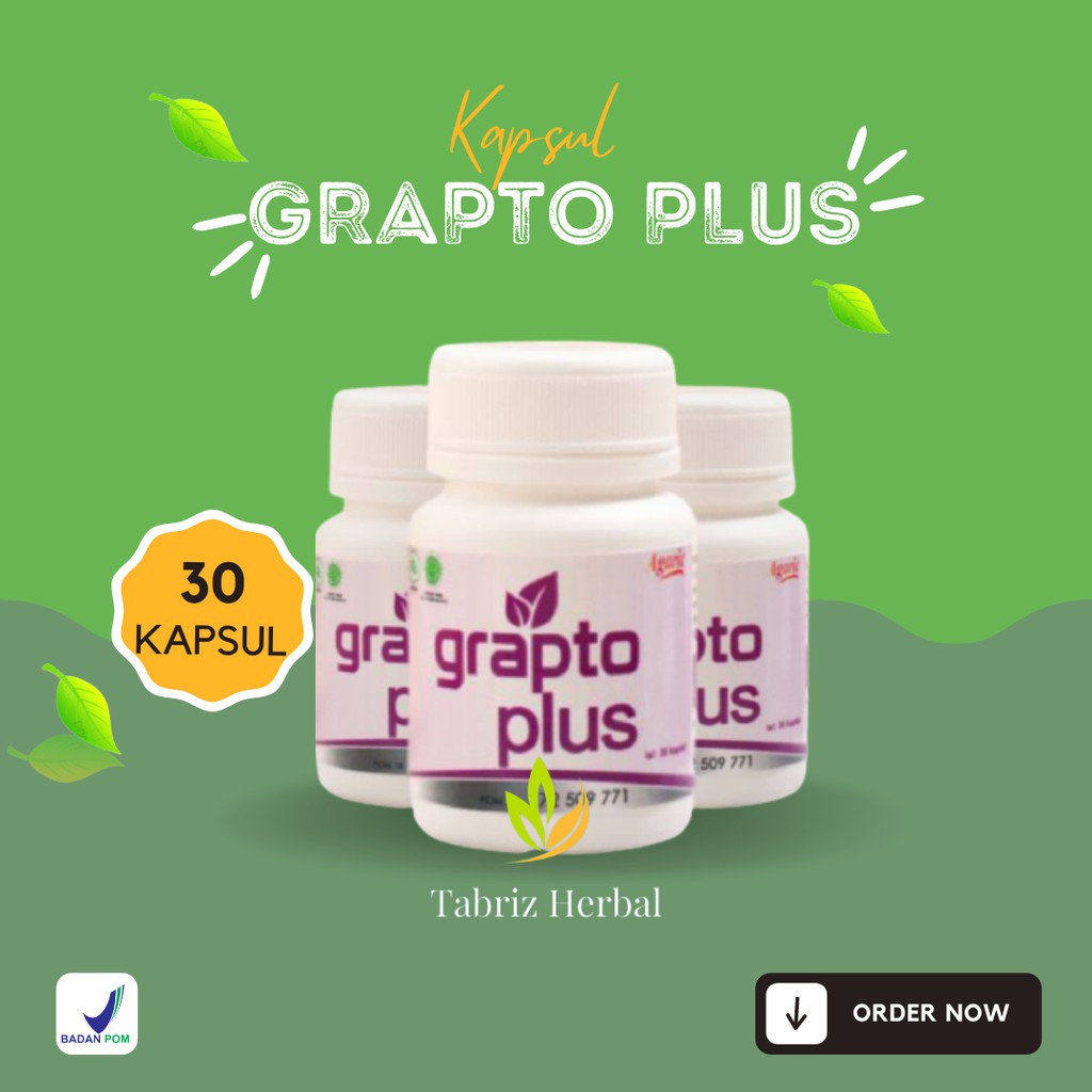 Grapto Plus GraptoPlus Obat Herbal Hemoroid Wasir Ambeien Original