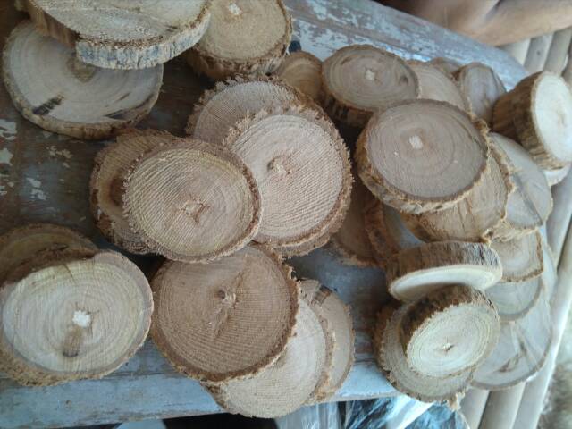 BC13 Bahan mahar craft kerajinan tangan wood slice