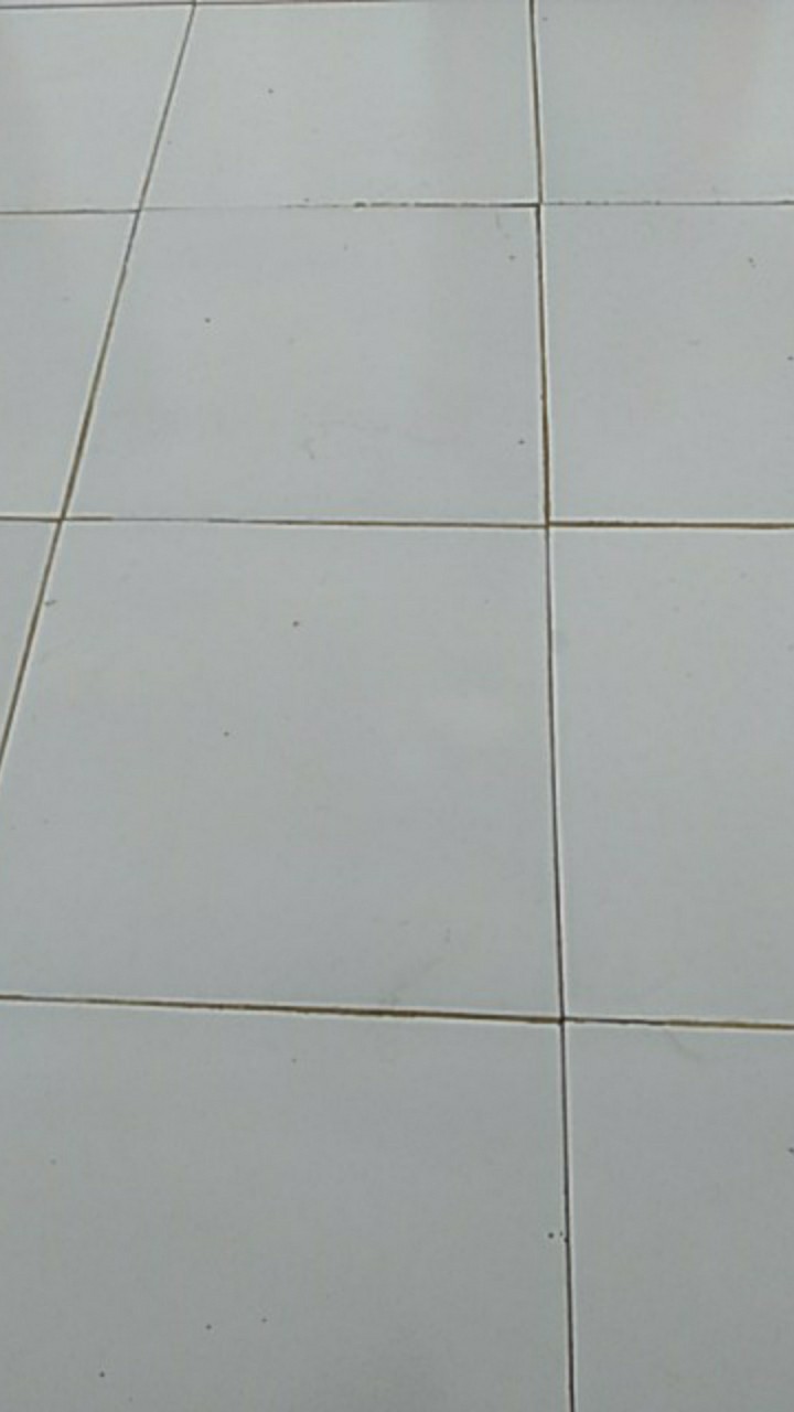 Engsel Polos Roda Kecil Haski Pintu Garasi Handerson