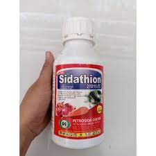 Sidathion 400 ml